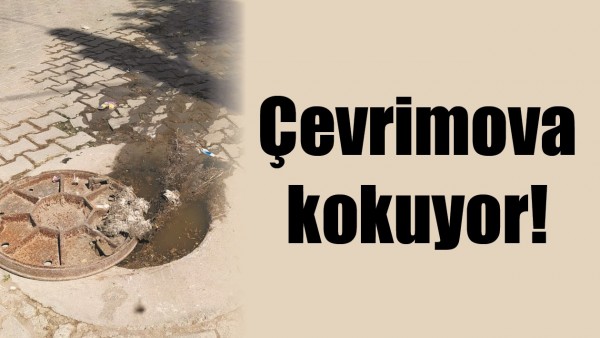 &Ccedil;EVRİMOVA KOKUYOR!