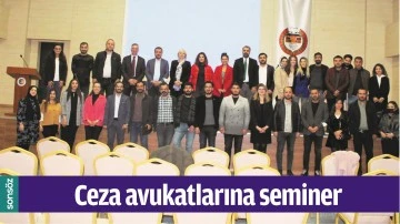 CEZA AVUKATLARINA SEMİNER