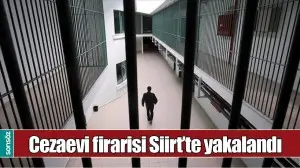 CEZAEVİ FİRARİSİ SİİRT'TE YAKALANDI