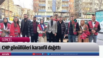 CHP g&ouml;n&uuml;ll&uuml;leri karanfil dağıttı