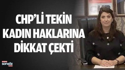 CHP&rsquo;li Tekin, kadın haklarına dikkat &ccedil;ekti 
