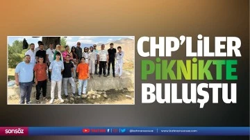 CHP&rsquo;liler piknikte buluştu