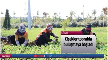 &Ccedil;i&ccedil;ekler toprakla buluşmaya başladı