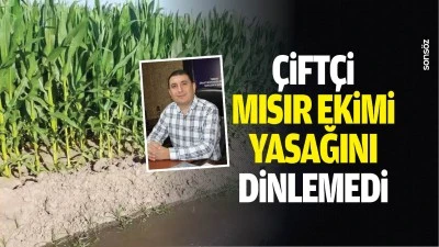 &Ccedil;ift&ccedil;i mısır ekimi yasağını dinlemedi