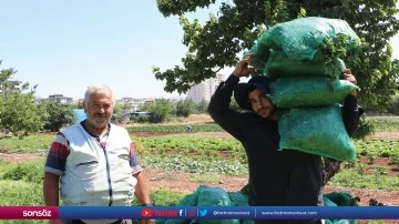 &Ccedil;ift&ccedil;iler sıcak havaya rağmen &uuml;retime katkı sağlıyor