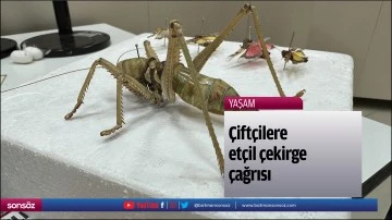 &Ccedil;ift&ccedil;ilere et&ccedil;il &ccedil;ekirge &ccedil;ağrısı