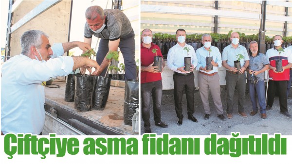 &Ccedil;İFT&Ccedil;İYE ASMA FİDANI DAĞITILDI