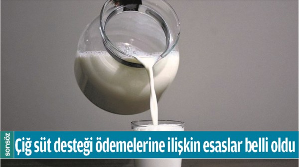 &Ccedil;iğ s&uuml;t desteği &ouml;demelerine ilişkin esaslar belli oldu