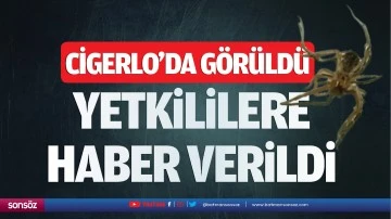 Cigerlo&rsquo;da g&ouml;r&uuml;ld&uuml; yetkililere haber verildi