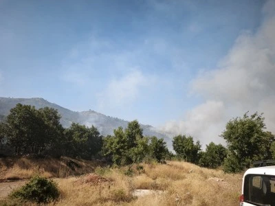 &Ccedil;ıkan orman yangını kontrol altına alındı