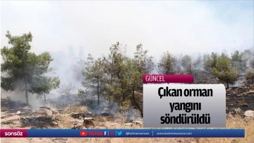 &Ccedil;ıkan orman yangını s&ouml;nd&uuml;r&uuml;ld&uuml;