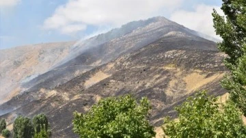 Çıkan örtü yangınında 12 hektar alan zarar gördü