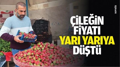 &Ccedil;ileğin fiyatı yarı yarıya d&uuml;şt&uuml;