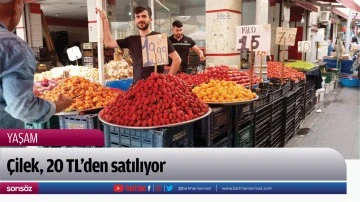 &Ccedil;ilek, 20 TL&rsquo;den satılıyor