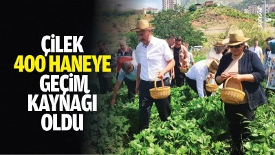 &Ccedil;ilek, 400 haneye ge&ccedil;im kaynağı oldu