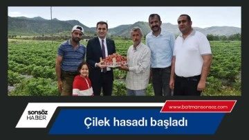 &Ccedil;ilek hasadı başladı