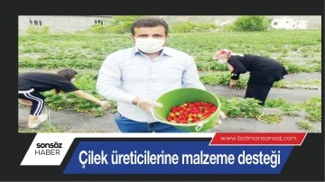 &Ccedil;ilek &uuml;reticilerine malzeme desteği