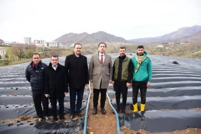 &Ccedil;ilek &uuml;reticilerine ziyaret