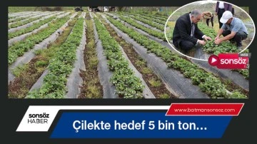 &Ccedil;ilekte hedef 5 bin ton&hellip;