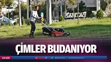 &Ccedil;imler budanıyor