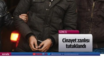 Cinayet zanlısı tutuklandı