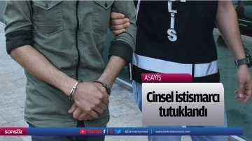 Cinsel istismarcı tutuklandı