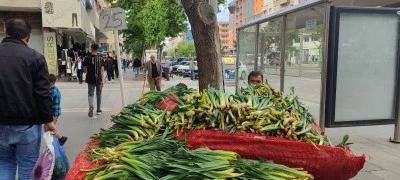 &Ccedil;iriş otu 25 liradan satılıyor