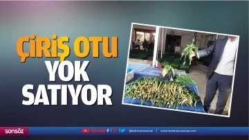 &Ccedil;iriş otu yok satıyor