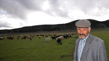Çobanlar bayramda meralarda hayvan otlatıyor