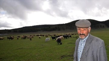 &Ccedil;obanlar bayramda meralarda hayvan otlatıyor