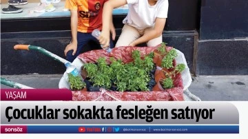 &Ccedil;ocuklar sokakta fesleğen satıyor