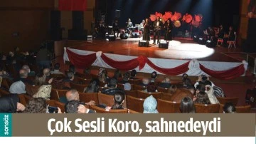 &Ccedil;OK SESLİ KORO, SAHNEDEYDİ