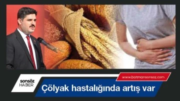 &Ccedil;&ouml;lyak hastalığında artış var