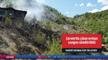 &Ccedil;orum'da &ccedil;ıkan orman yangını s&ouml;nd&uuml;r&uuml;ld&uuml;