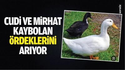 Cudi ve Mirhat, kaybolan &ouml;rdeklerini arıyor