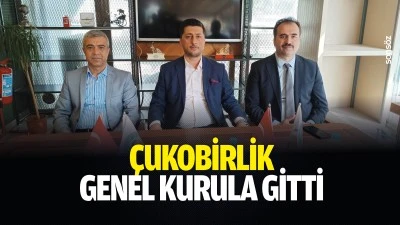 &Ccedil;ukobirlik, genel kurula gitti