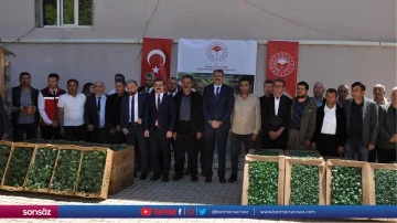 &Ccedil;ukurca'da &ccedil;ift&ccedil;ilere 29 bin fide dağıtıldı