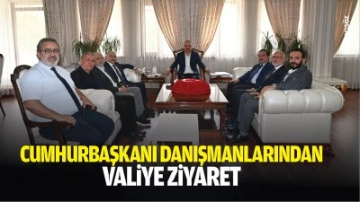 Cumhurbaşkanı Danışmanlarından valiye ziyaret