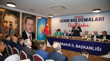 Cumhurbaşkanı Yardımcısı Yılmaz, Diyarbakır'da