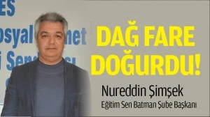 DAĞ FARE DOĞURDU!