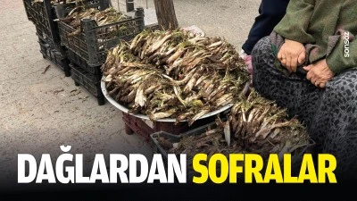 Dağlardan sofralara&hellip;