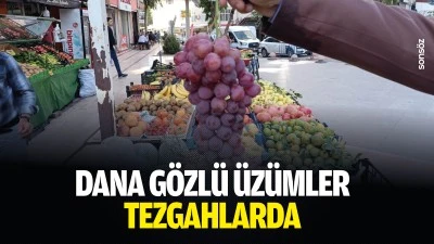 Dana g&ouml;zl&uuml; &uuml;z&uuml;mler tezgahlarda
