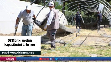 DBB bitki &uuml;retim kapasitesini artırıyor
