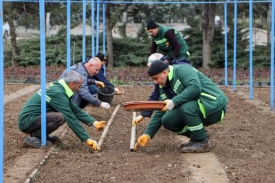 DBB kendi g&uuml;l&uuml;n&uuml; &uuml;retiyor, bu yıl hedef 25 bin fidan