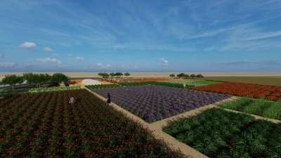 DBB tıbbi ve aromatik bitki bah&ccedil;esi oluşturuyor