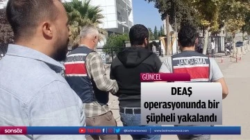 DEAŞ operasyonunda bir ş&uuml;pheli yakalandı