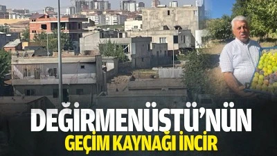 Değirmen&uuml;st&uuml;&rsquo;n&uuml;n ge&ccedil;im kaynağı incir