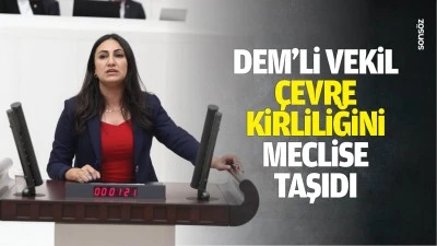 DEM&rsquo;li Vekil, &ccedil;evre kirliliğini meclise taşıdı