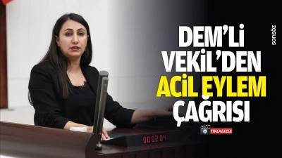 DEM&rsquo;li Vekil&rsquo;den acil eylem &ccedil;ağrısı