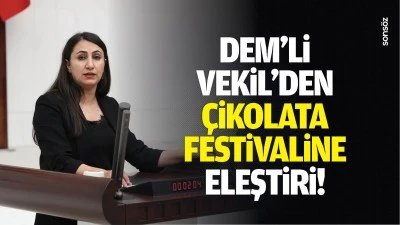 DEM&rsquo;li Vekil&rsquo;den &Ccedil;ikolata Festivaline eleştiri!